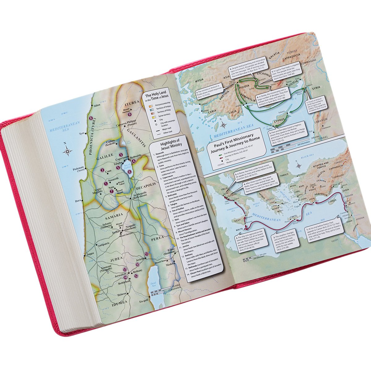 KJV Holy Bible, Compact Large Print Faux Leather Red Letter Edition - Ribbon Marker, King James Version, Pink