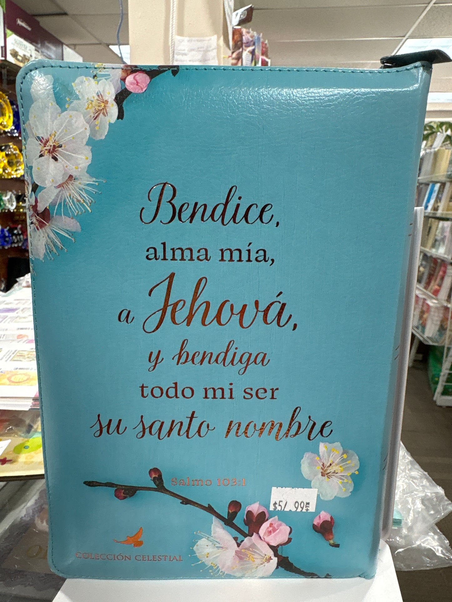 Santa Biblia Reina Valera 1960