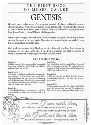KJV My Promise Bible--imitation leather, pink