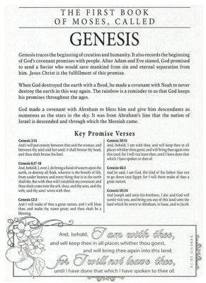 KJV My Promise Bible--imitation leather, teal