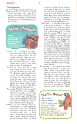 NirV Adventure Bible for Early Readers - Tropical Purple