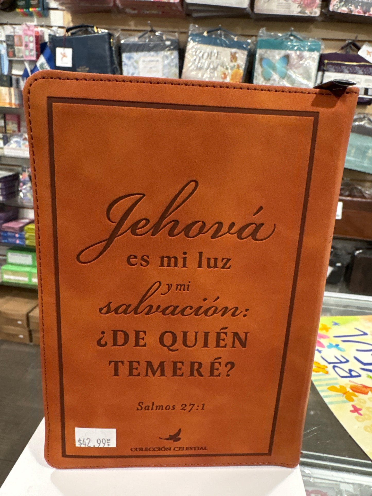 Santa Biblia Reina Valera