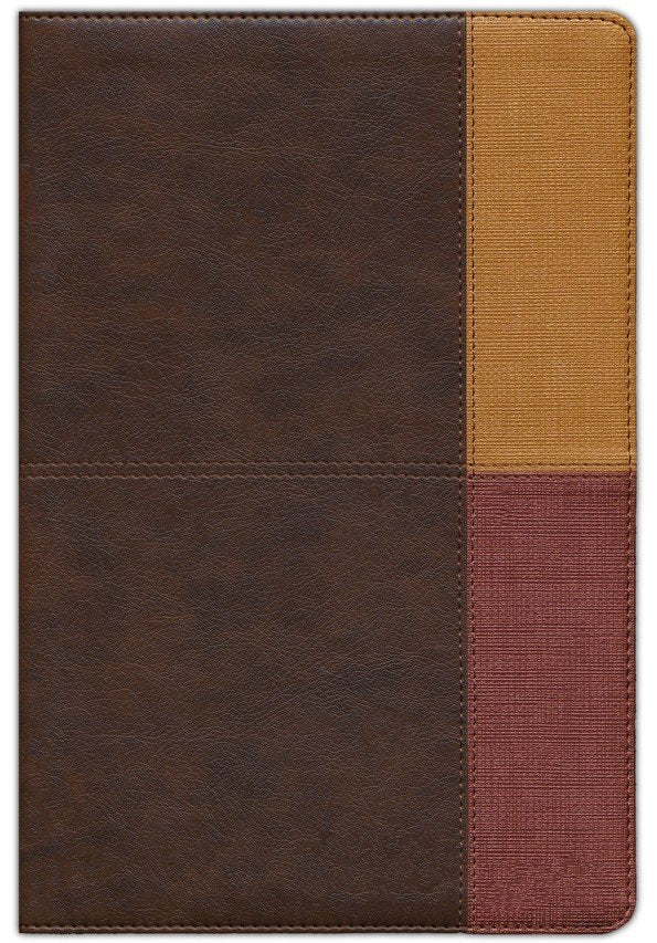 RVR 1960 Biblia de Estudio Arcoiris, cocoa/terracota símil piel con índice