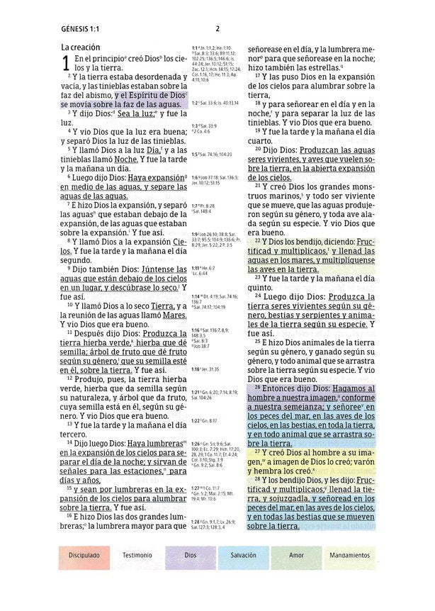 RVR 1960 Biblia de Estudio Arcoiris, cocoa/terracota símil piel con índice