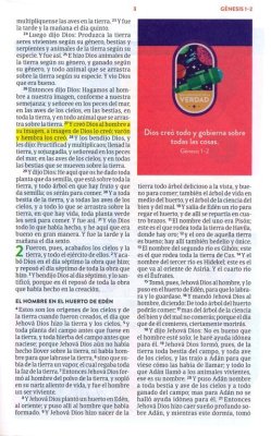 RVR 1960 Biblia para ninos exploradores, lavanda compas simil piel