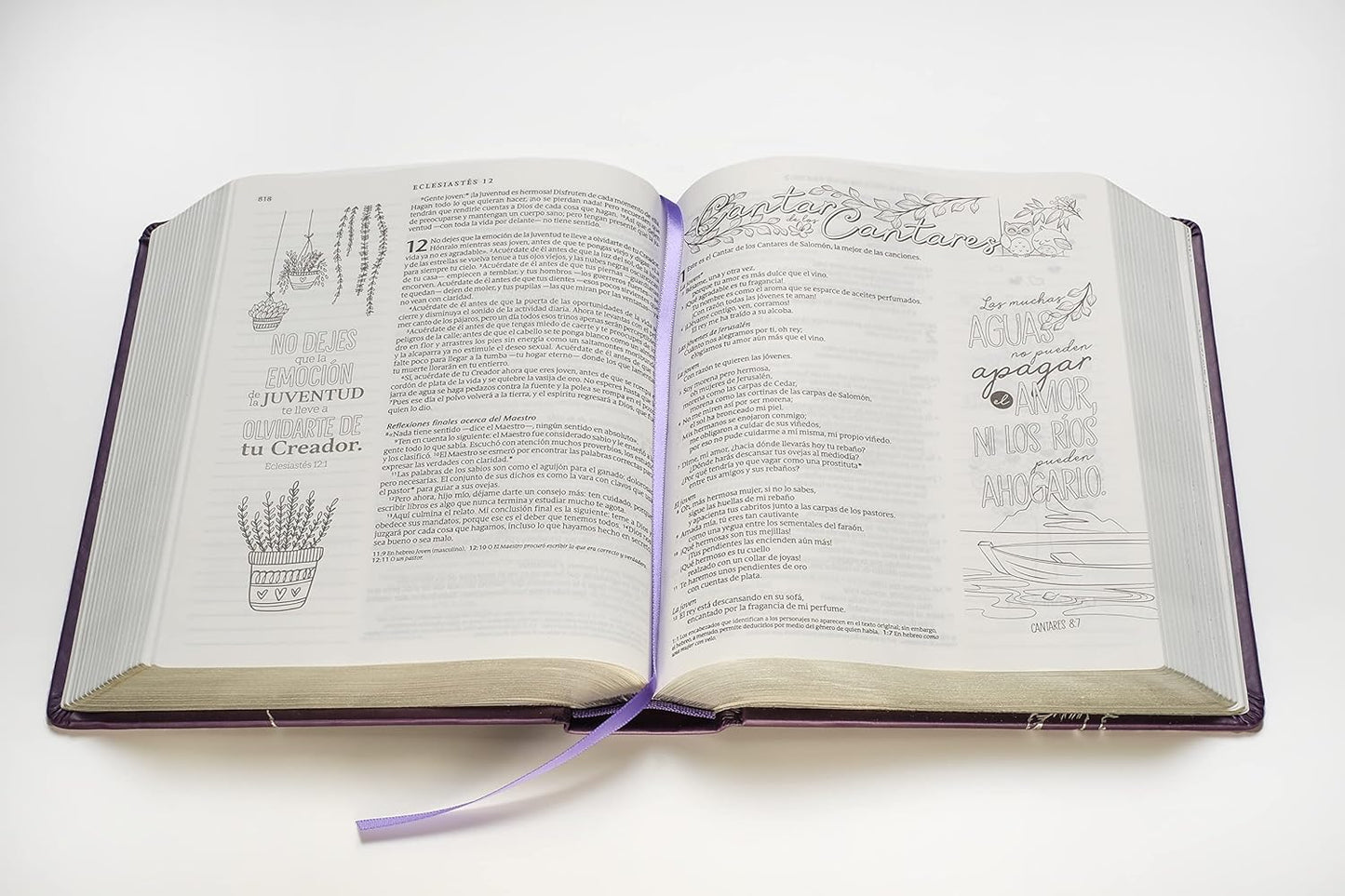 Biblia Inspira NTV, Enc. Dura, Morada