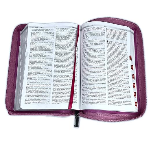 Biblia Bilingue PARA JOVENCITAS RVR 1960/ King James SEMIPIEL PIEL ROSA ÍNDICECIERRE