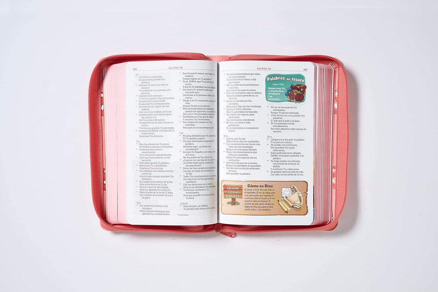 NBLA, Biblia Aventura, Interior a color, Leathersoft, Coral, con Cierre,