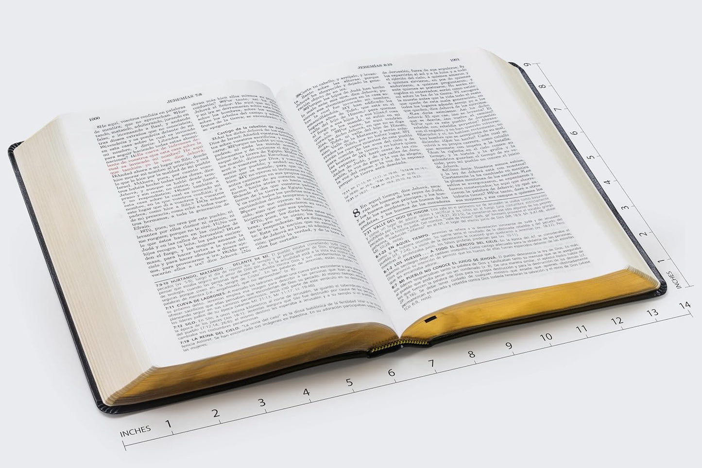 Biblia de Estudio Vida Plena, Español, Piel Negro