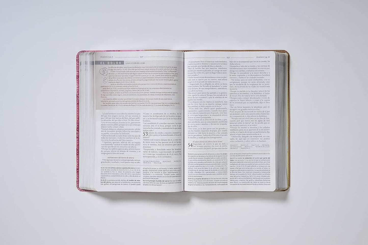 RVR60, Biblia de Estudio para la Mujer, Leathersoft, Rosado floral
