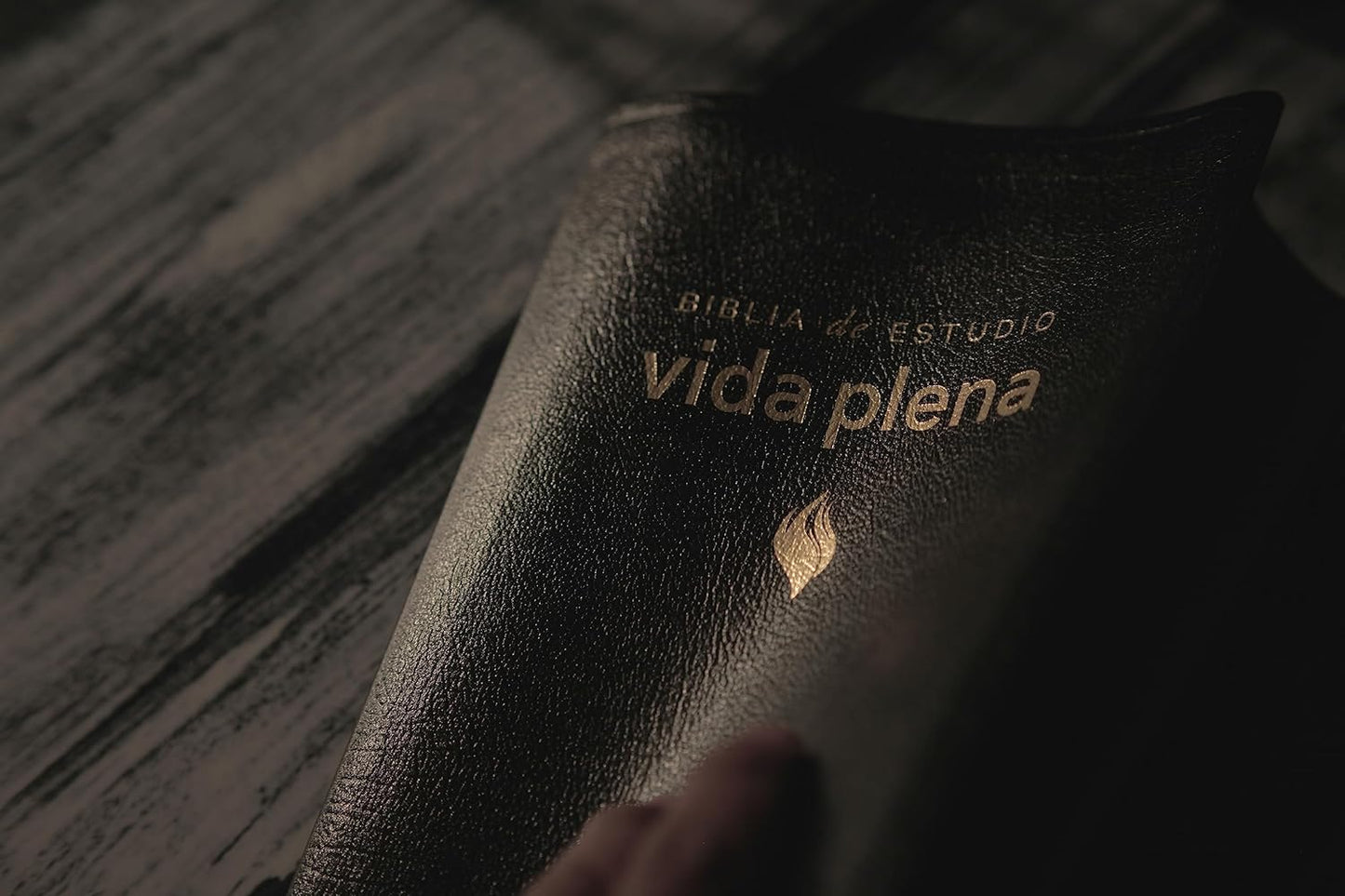 Vida Plena Imit. Negro Indx