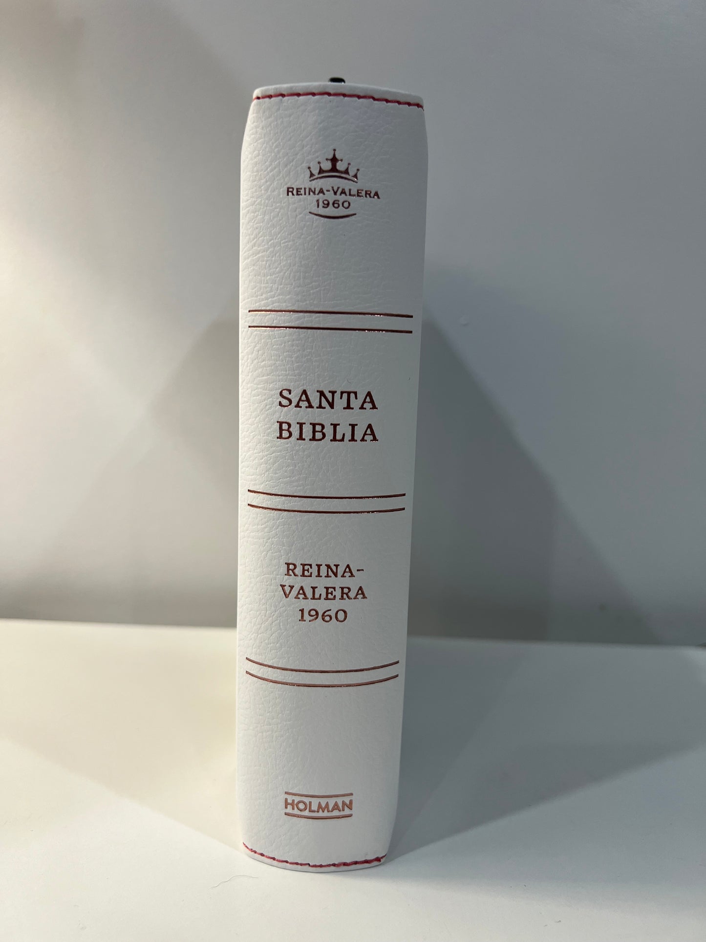 Biblia Letra Grande Tamano Personal con Referencias RVR 1960