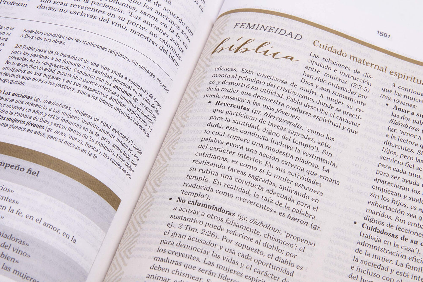 Biblia de Estudio Mujeres Tapa Dura Azul Floreado