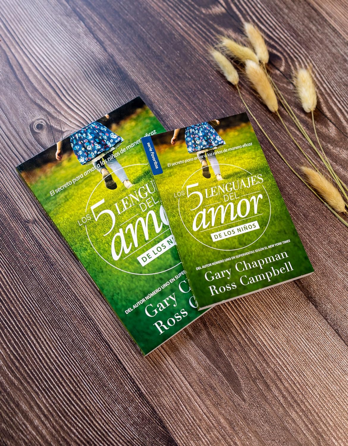 Los 5 lenguajes del amor de los niños