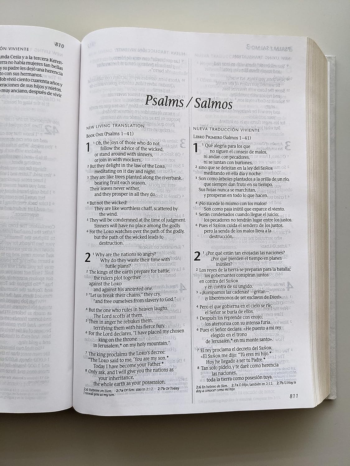 Bilingual Bible / Biblia bilingüe NLT/NTV (Hardcover, Gray)