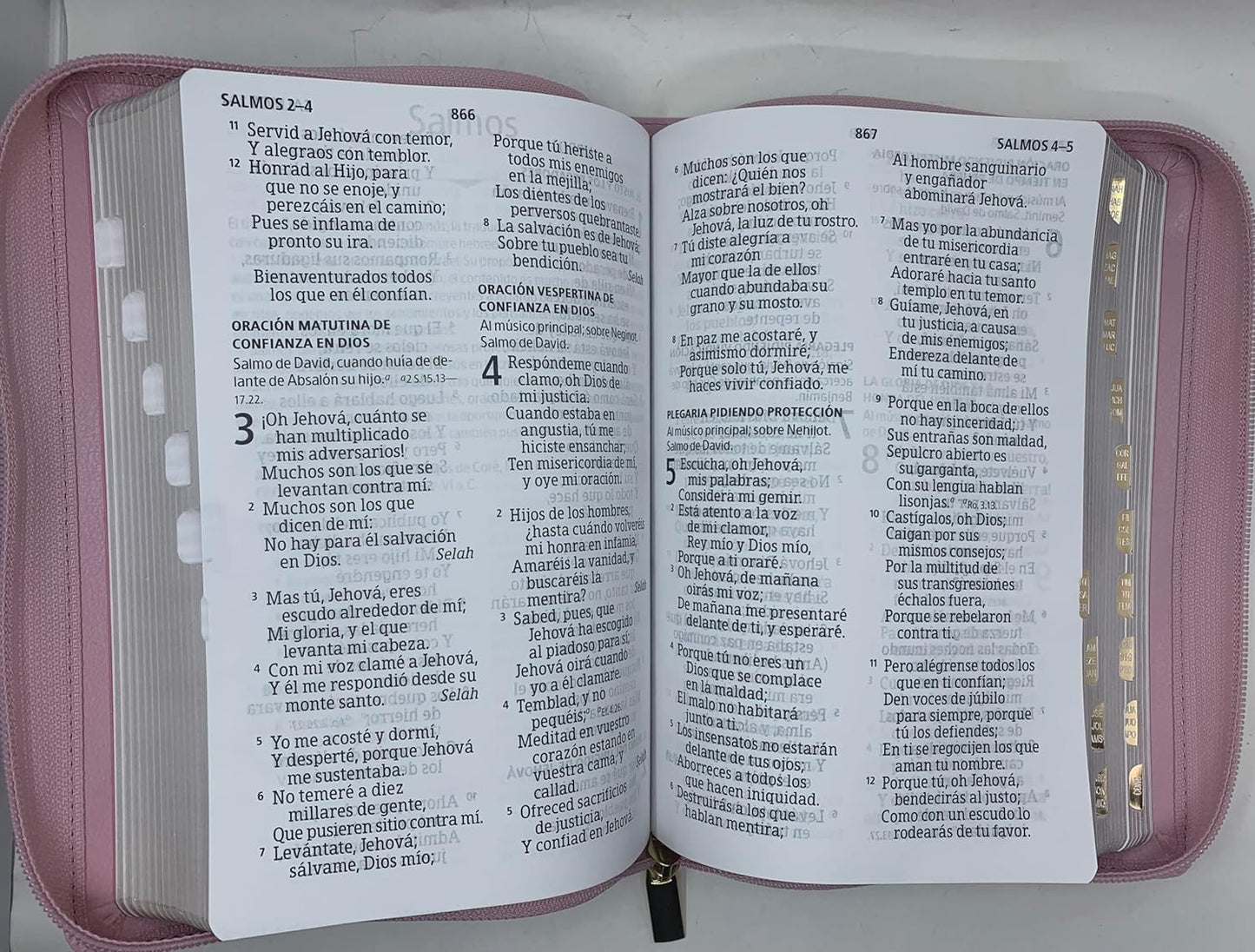 Biblia Letra Gigante para Mujer Manual 14 puntos con cierre RV1960 ROSA MALVA SIMILPIEL CON INDICE