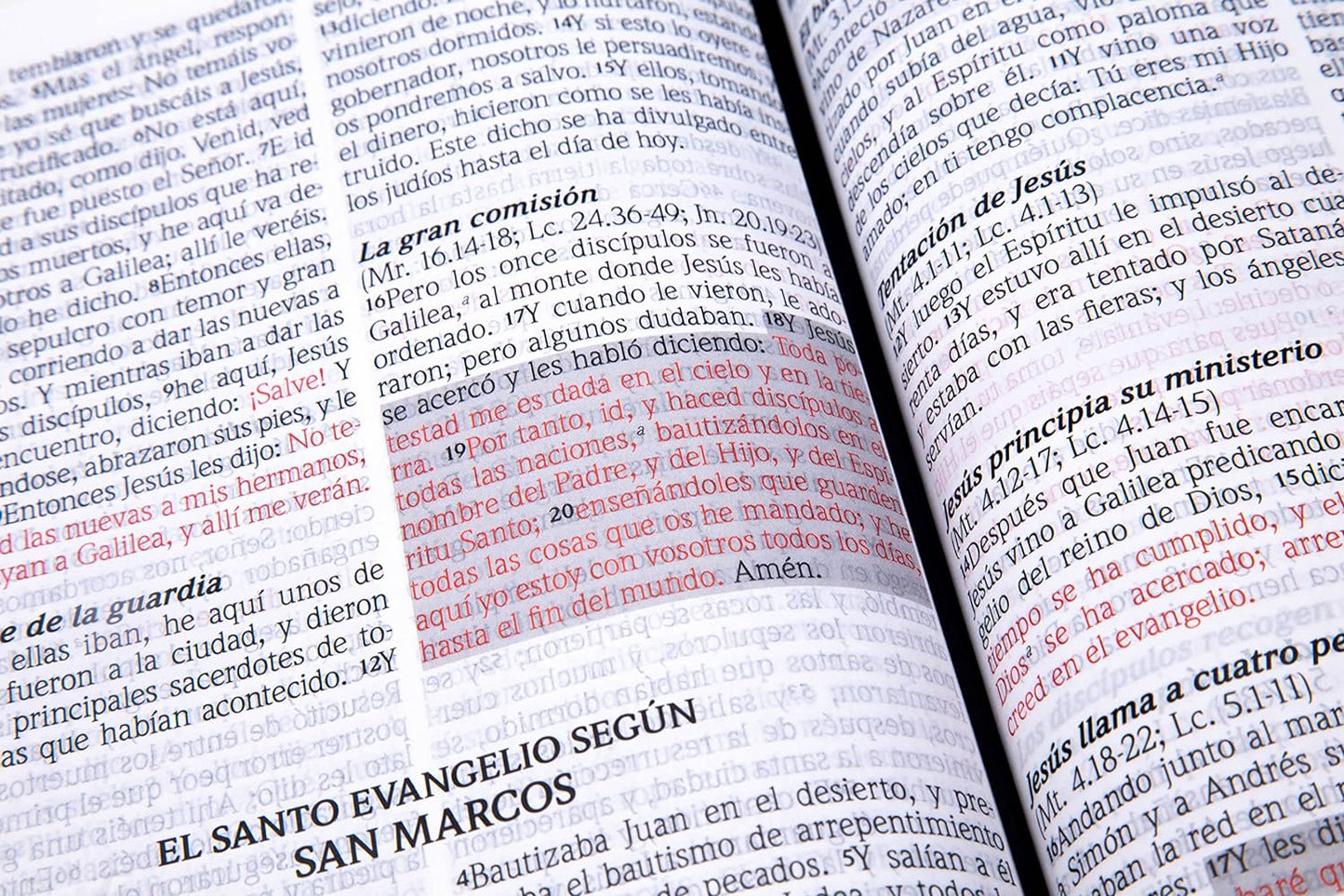 Santa Biblia de Promesas Reina-Valera 1960 / Jesús para todos / Letra Grande / Tamaño Manual / Piel especial con índice / Marfil