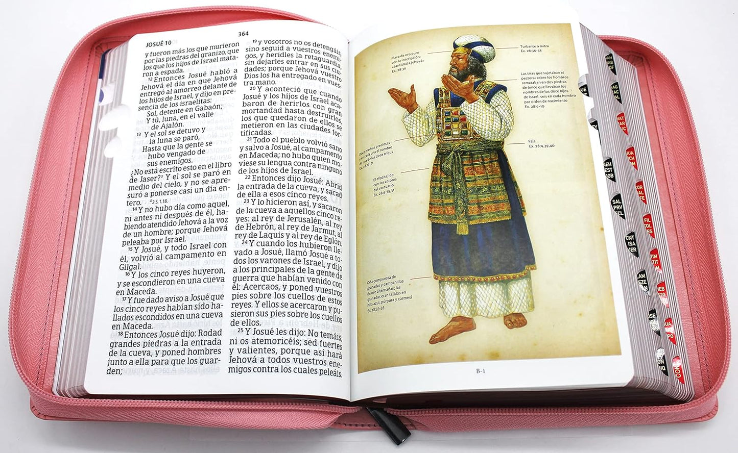 Biblia Reina Valera 1960 Letra Grande en Español