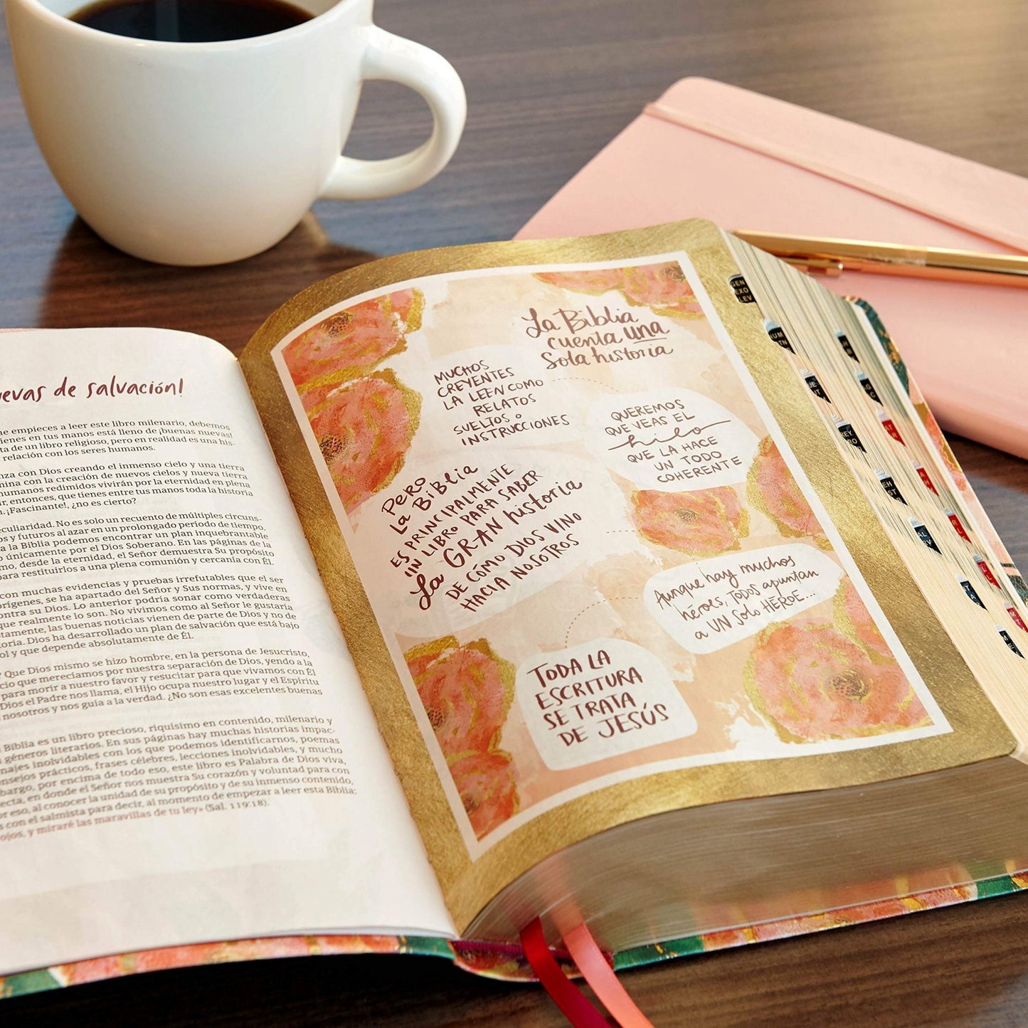 Biblia dev. para mujeres RVR 1960 centrada en Cristo