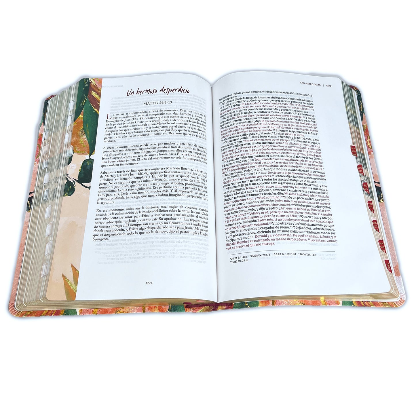 Biblia dev. para mujeres RVR 1960 centrada en Cristo