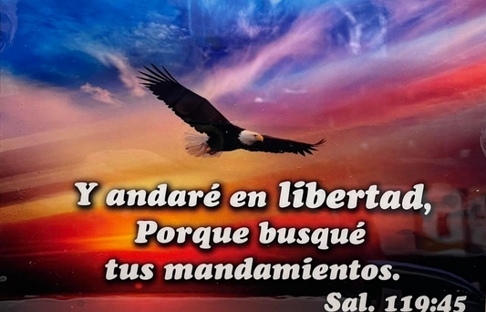 Salmos 119:45