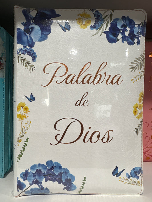 Santa Biblia Reina Valera 1960