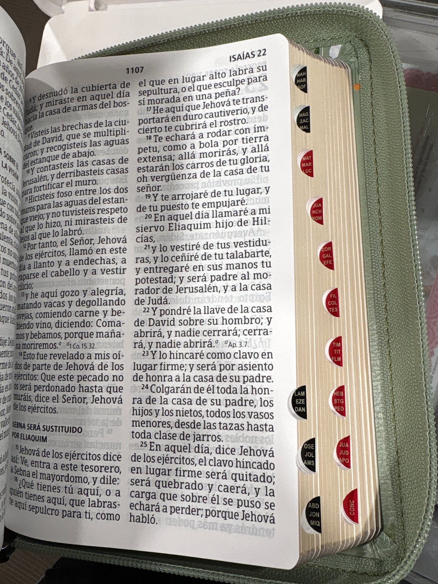 Santa Biblia Reina Valera 1960