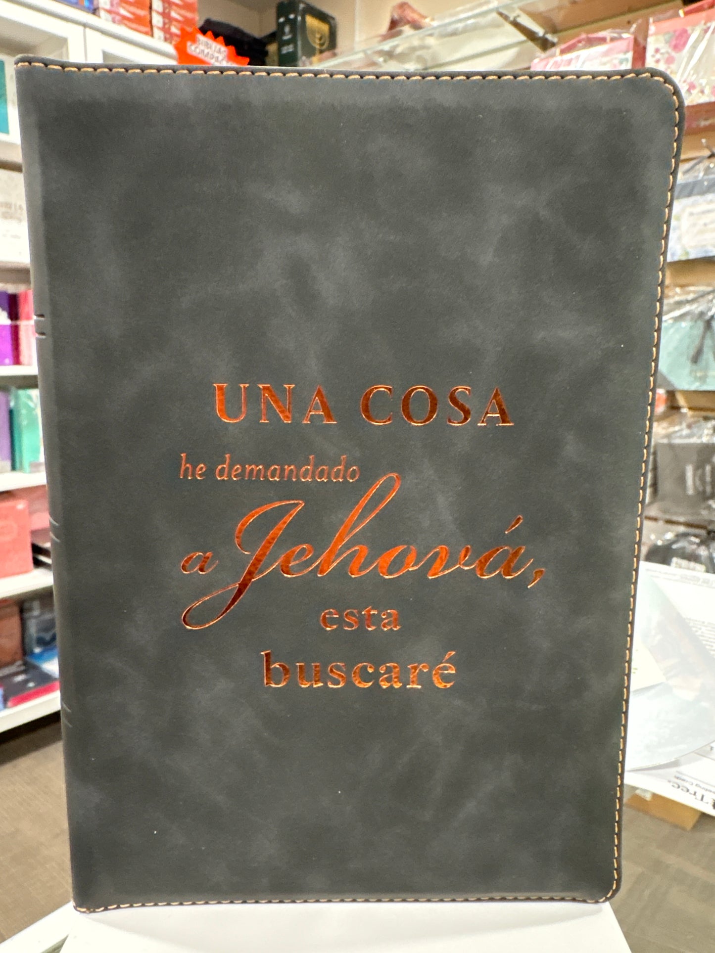 Santa Biblia Reina Valera 1960