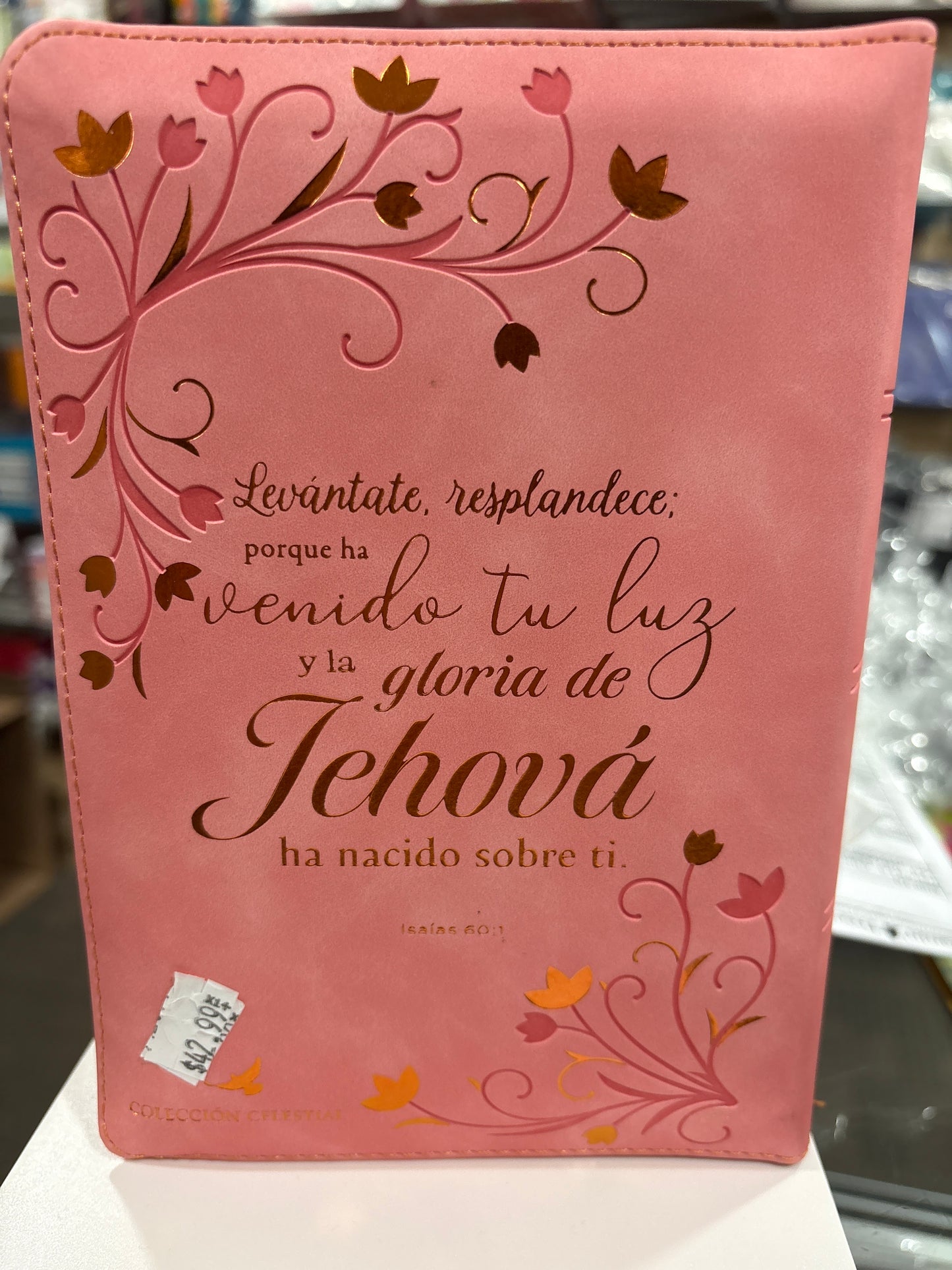 Santa Biblia Reina Valera 1960