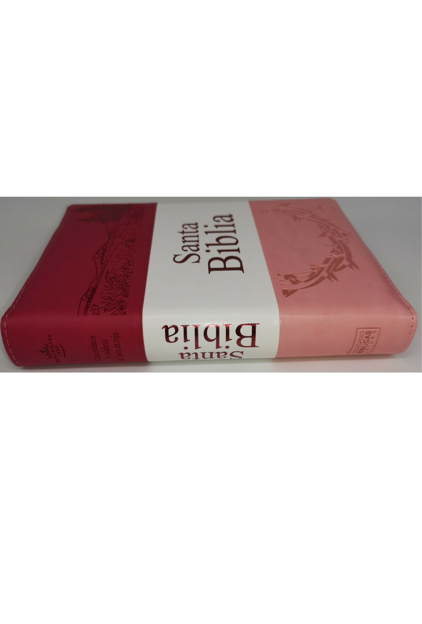 Biblia Letra Grande con Cierre RV1960, Tamaño Manual Imitación Piel, Rosa, con Indice
