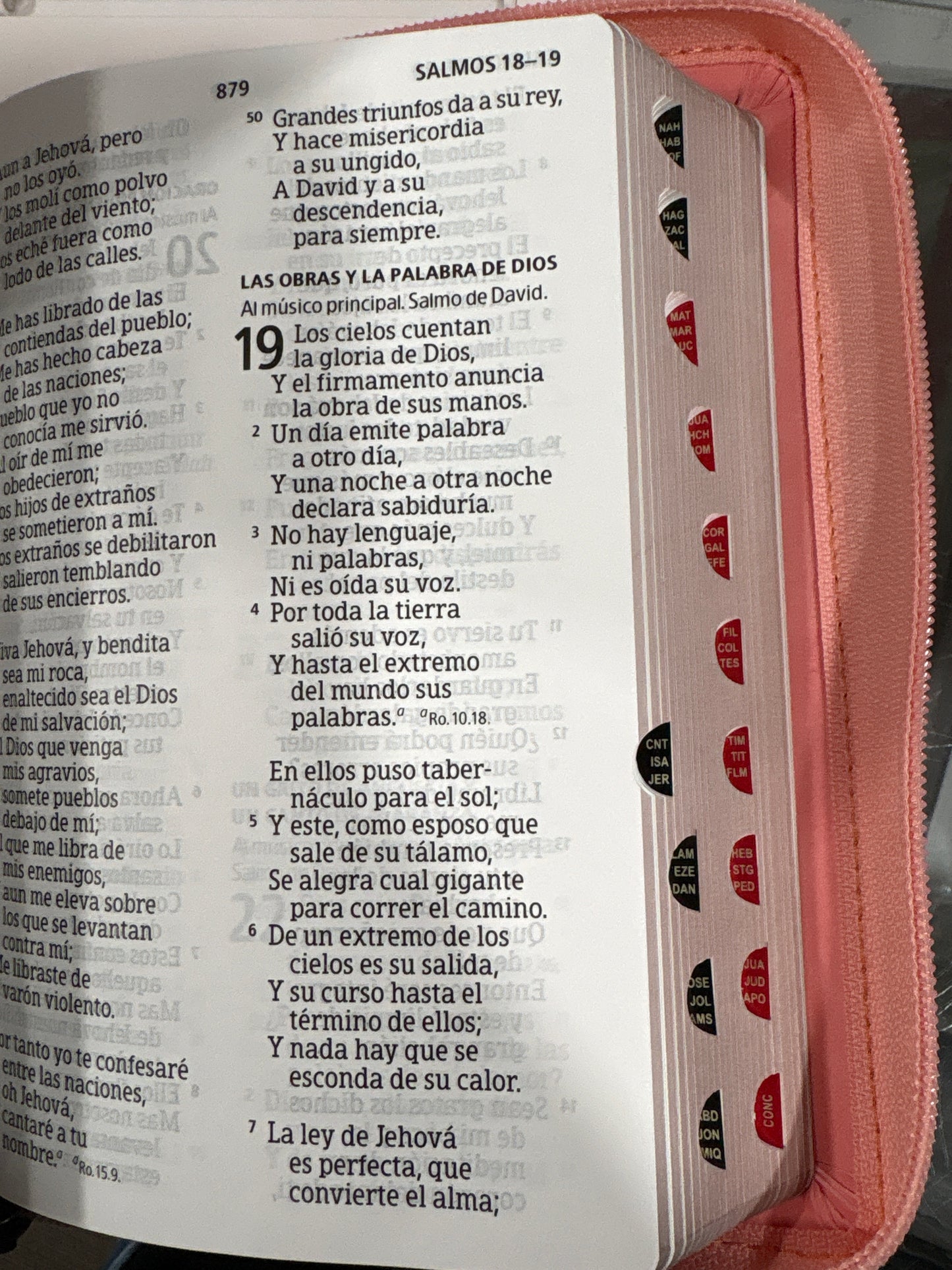 Santa Biblia Reina Valera 1960