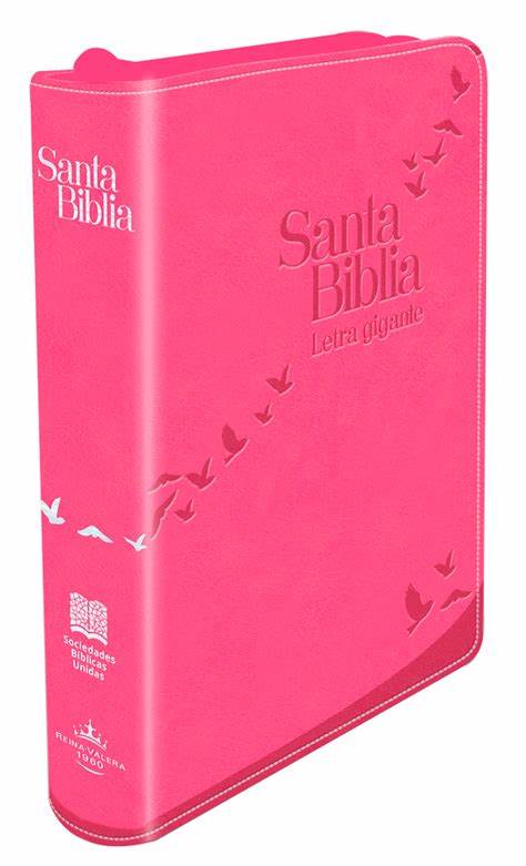 Biblia Fucsia Letra Gigante