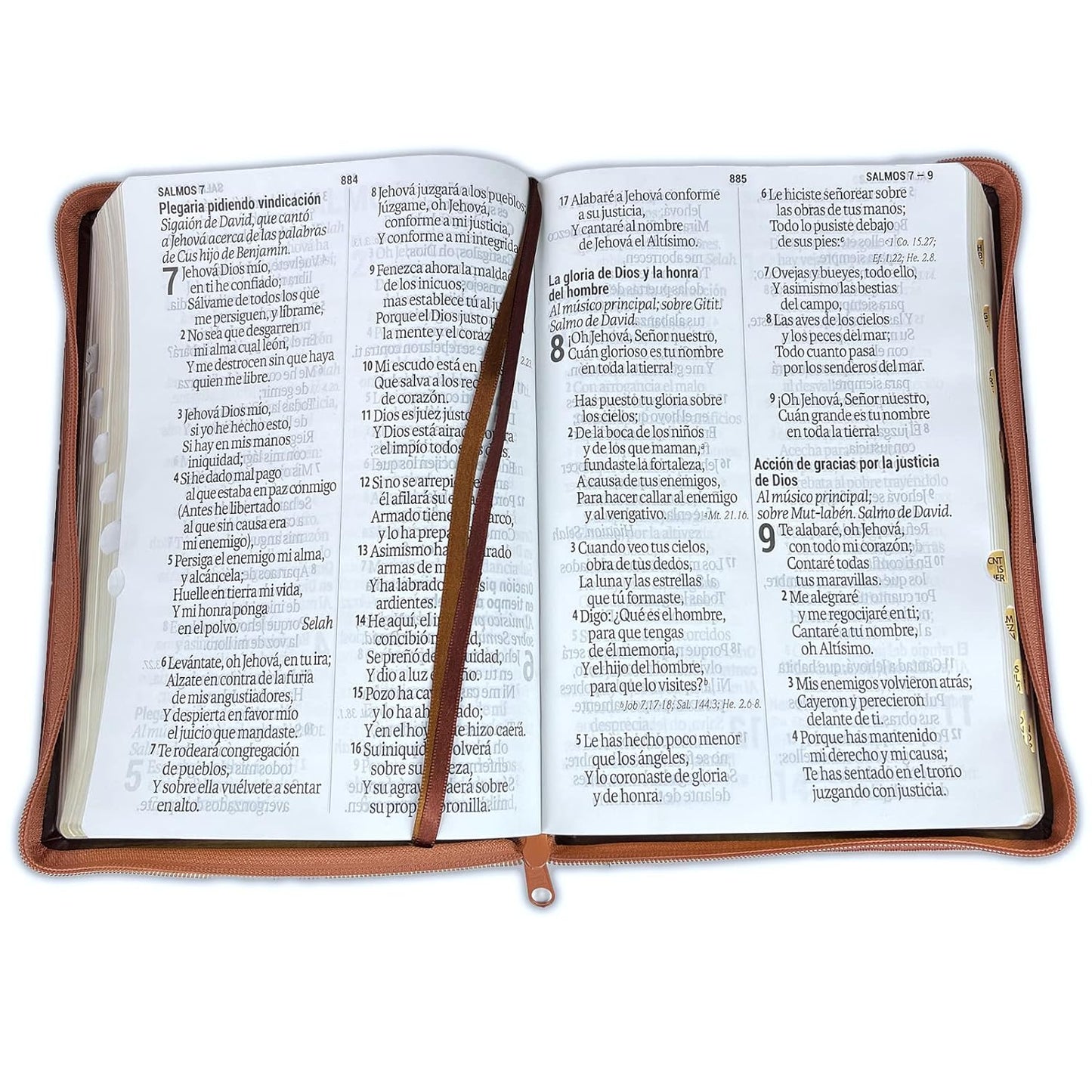 Biblia Letra Super gigante 19 puntos