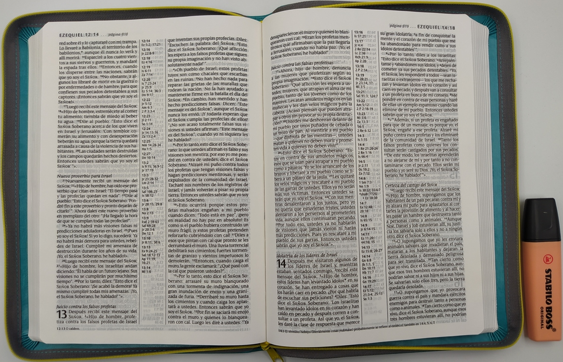 NTV Santa Biblia, Edicion ziper letra grande con referencias LeatherLike, Teal