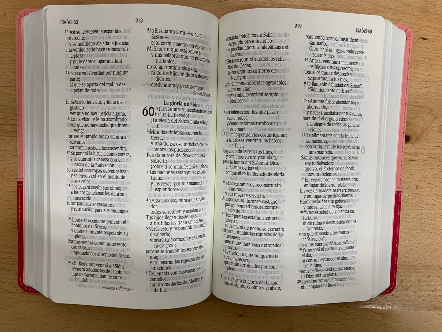 SANTA BIBLIA NVI LETRA GRANDE, TAMAÑO MANUAL – CUERO ECOLOGICO DUO TONO ROSA