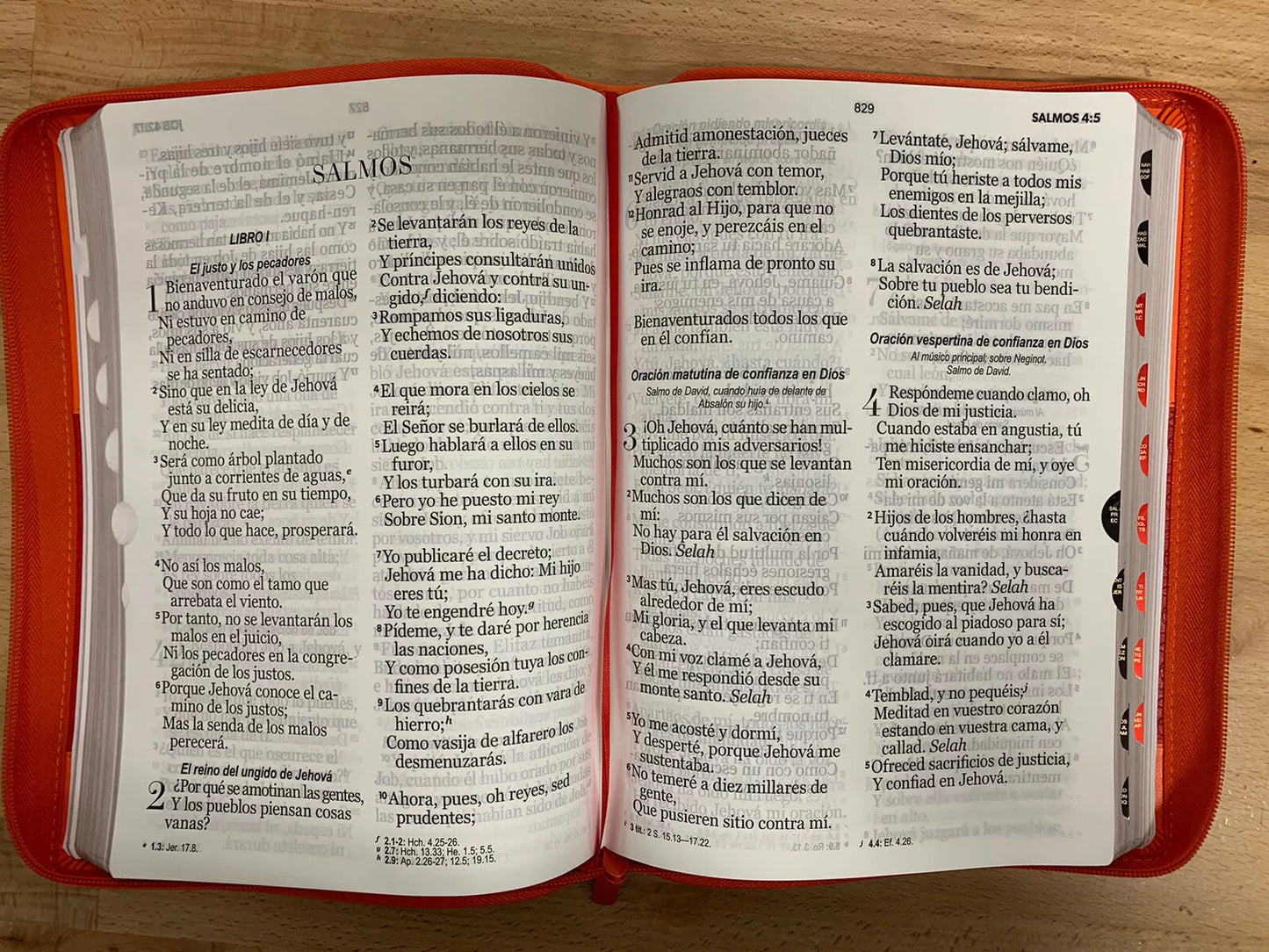 BIBLIA RVR 1960 LETRA SUPER 19 PUNTOS GIGANTE SIMIL PIEL CORAL INDICE CIERRE