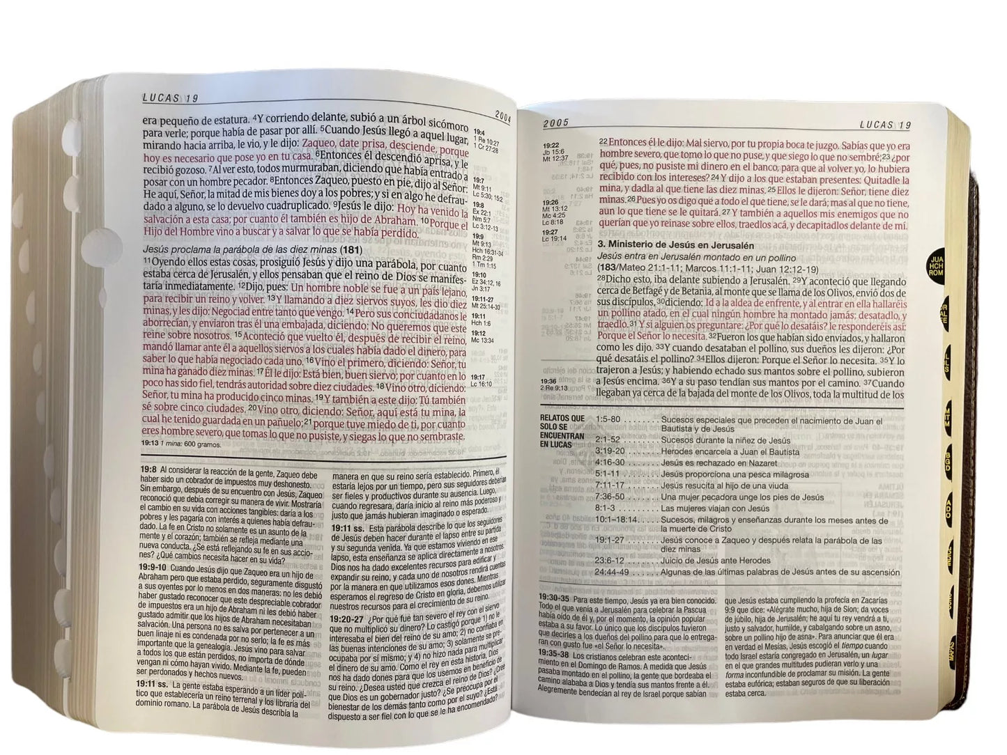 Biblia de estudio del diario vivir RVR60, letra grande (SentiPiel, Café/Café claro, Índice, Letra Roja)