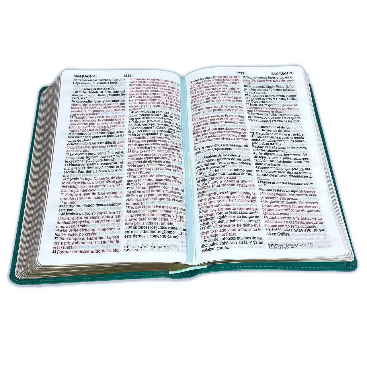 Biblia Letra Grande 12 puntos RV1960 imit. piel turquesa