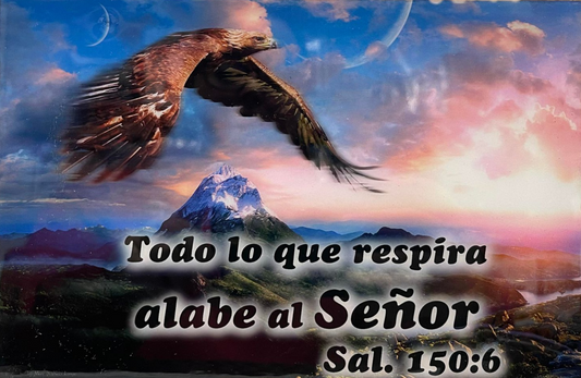 Salmos 150 6